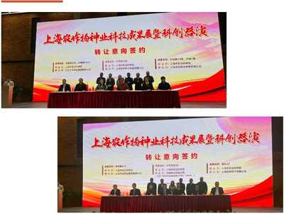 上海種業(yè)科技成果路演交易簽約 為種業(yè)高質(zhì)量發(fā)展注入新動(dòng)能